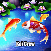 Koi Fish Friendship GIF by TheConfishius