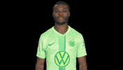Germany Love GIF by VfL Wolfsburg
