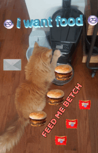GIF by Amanda