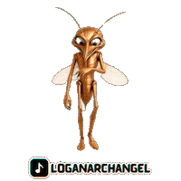 Logan Mosquitoes Sticker