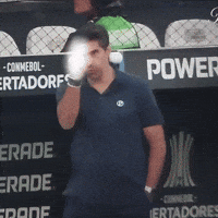Libertadores Abel GIF