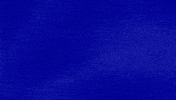 Training Trainer GIF by Jeopardy!