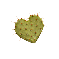 Heart Desert Sticker by 150UP