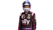 Alex Bowman Nascar Sticker by AllyRacing