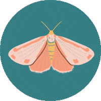 Fly Butterfly Sticker