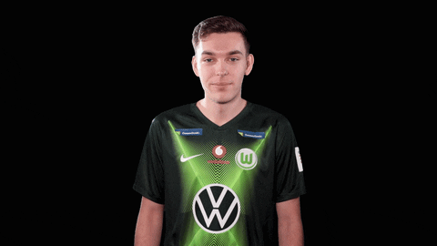 E Sports Sport GIF by VfL Wolfsburg