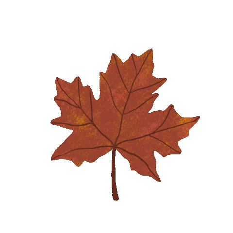 Fall Sticker by Raquel Coicev