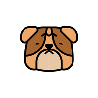 yalemusic yale ysm GIF