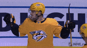 happy ice hockey GIF by NHL