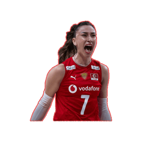 Hande Baladin Sticker