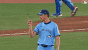 Blue Jays Baseball GIF by Toronto Blue Jays