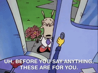 rockos modern life nicksplat GIF