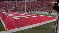 touchdown ohio state buckeyes michigan football nfl season GIF