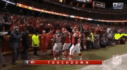 2018 Nfl Football GIF by NFL