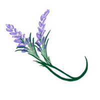 Flower Japan Sticker by kenzo_official