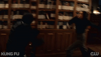 Library Fight