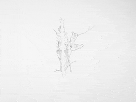 Animation Dog GIF by Jonah Primiano