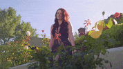 Music Video Brazil GIF by Ryn Dean