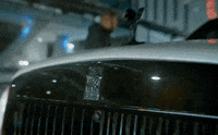 Mixed Martial Arts Sport GIF by UFC