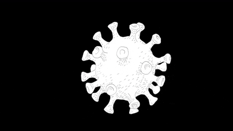 GIF by Harvard Medical School