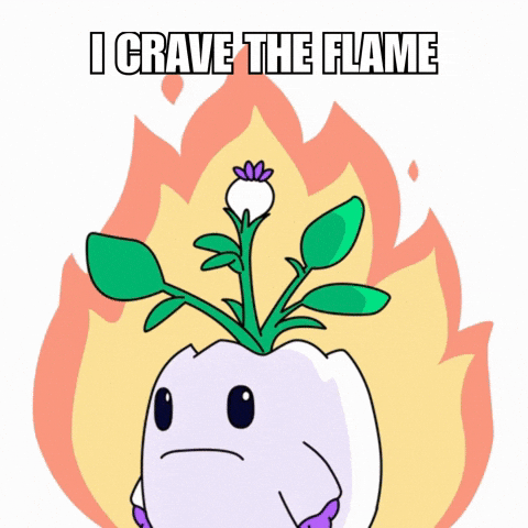 On Fire Burn GIF by Magic Eden