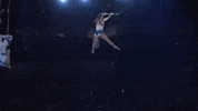 Spin Flying GIF by Ringling Bros. and Barnum & Bailey