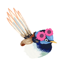 Fairy Wren Australia Sticker by VisitCanberra
