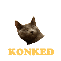 rpm_mcdonald cat animation happybirthday milton Sticker