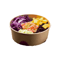 Hamburger Salade Sticker by GROW BURGER