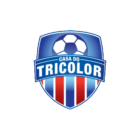 Bahia Ct Sticker by Casa Tricolor