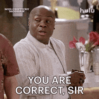 You Are Correct Nathan Lee Graham GIF by HULU