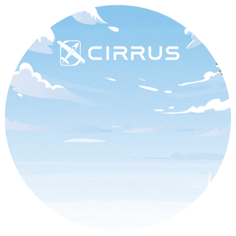 Plane Sticker by Cirrus