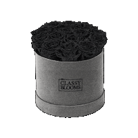 Black Rose Love Sticker by the CLASSY BLOOMS