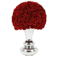 OnlyRoses love flowers romance valentines day Sticker