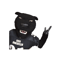 College Panthers Sticker by ODU Admission