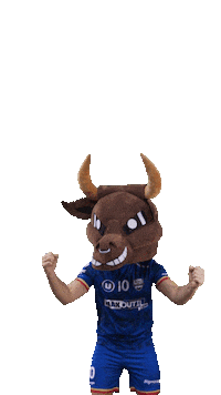 Sport Celebration Sticker by ROC Aveyron Handball