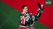 Hockey Del GIF by Augsburger Panther Eishockey GmbH
