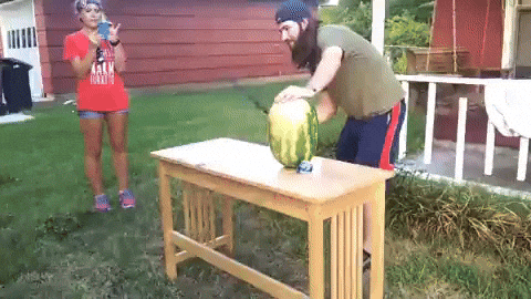 giphy.gif
