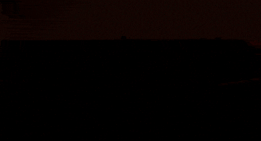 GIF by Michigan Athletics