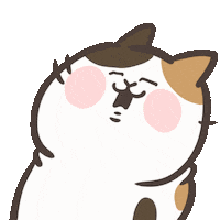 catlifesquarefish cat 貓 catlife 耍廢貓 Sticker