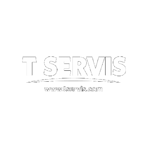 tservis giphygifmaker festival light sound Sticker
