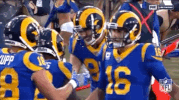 2018 Nfl Football GIF by NFL