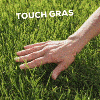 NLST1 touch grass touch gras GIF