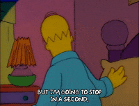 Season 1 GIF by The Simpsons