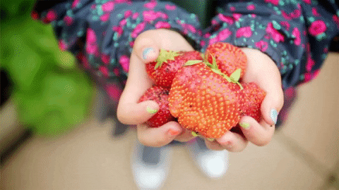 broxbourneboy giphyupload fruit strawberries GIF