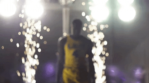 College Basketball Sport GIF by LSU Tigers