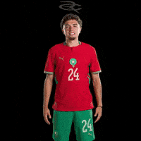 Fifa World Cup Morocco GIF by Respective