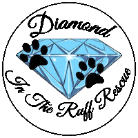 Ditrr Sticker by Diamond In The Ruff Rescue