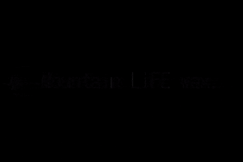 mountainLIFEwax giphygifmaker 1 snowboard mlw GIF