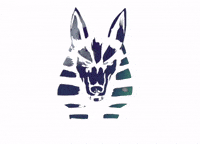 hereafter_music music rock germany band GIF